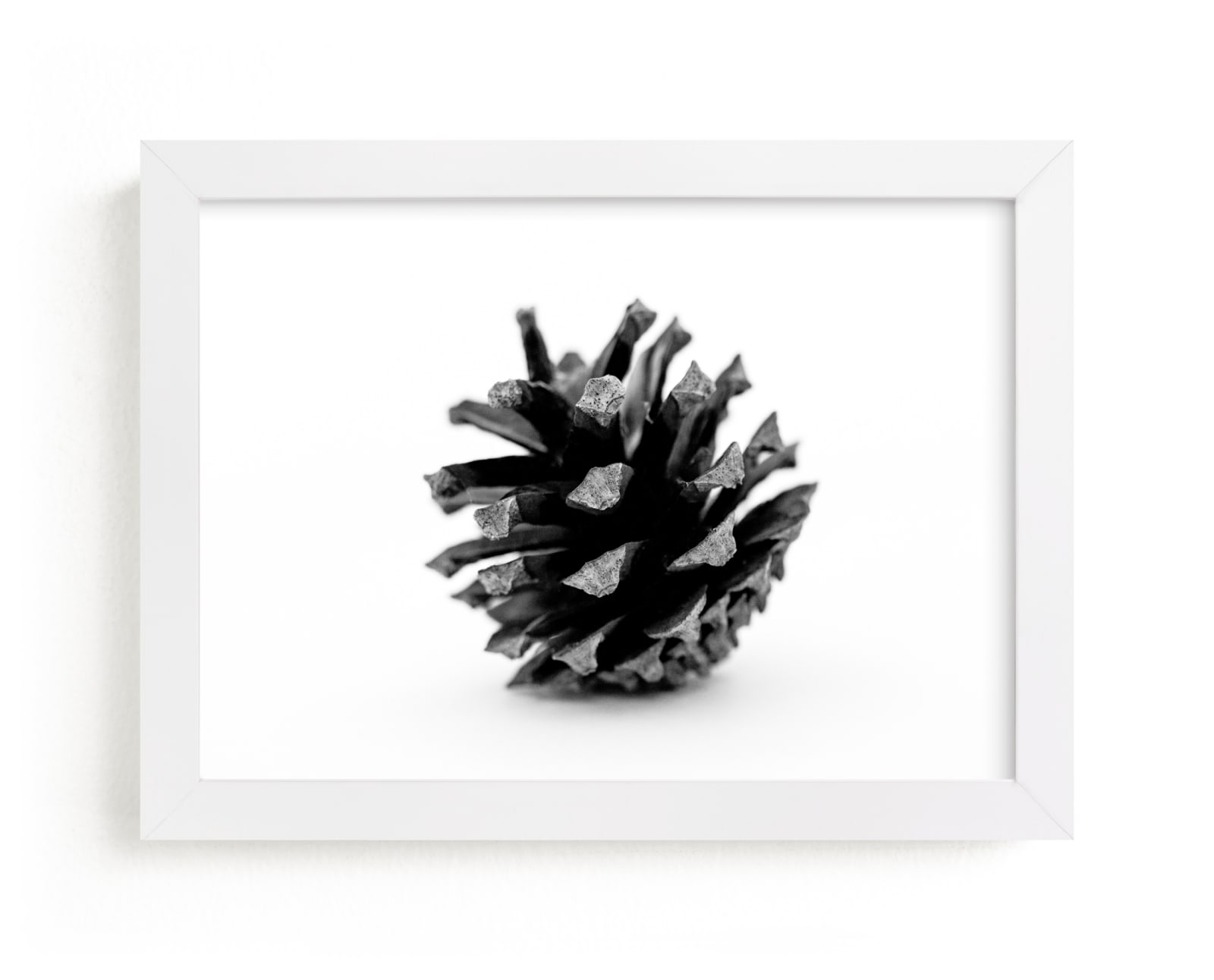 "Just A Small Cone" by Alexis Arnold in beautiful frame options and a variety of sizes.