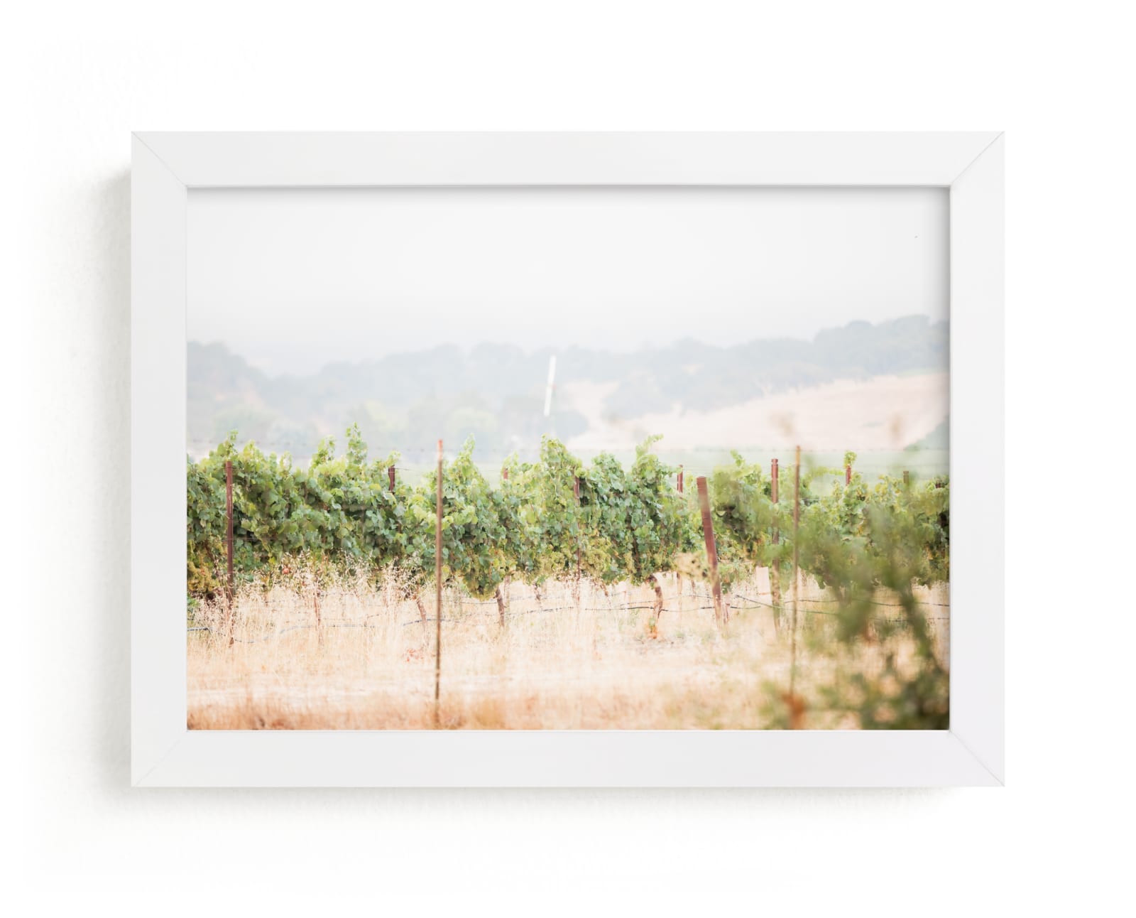 "Sonoma Morning No. 1" by Shannon Howard in beautiful frame options and a variety of sizes.
