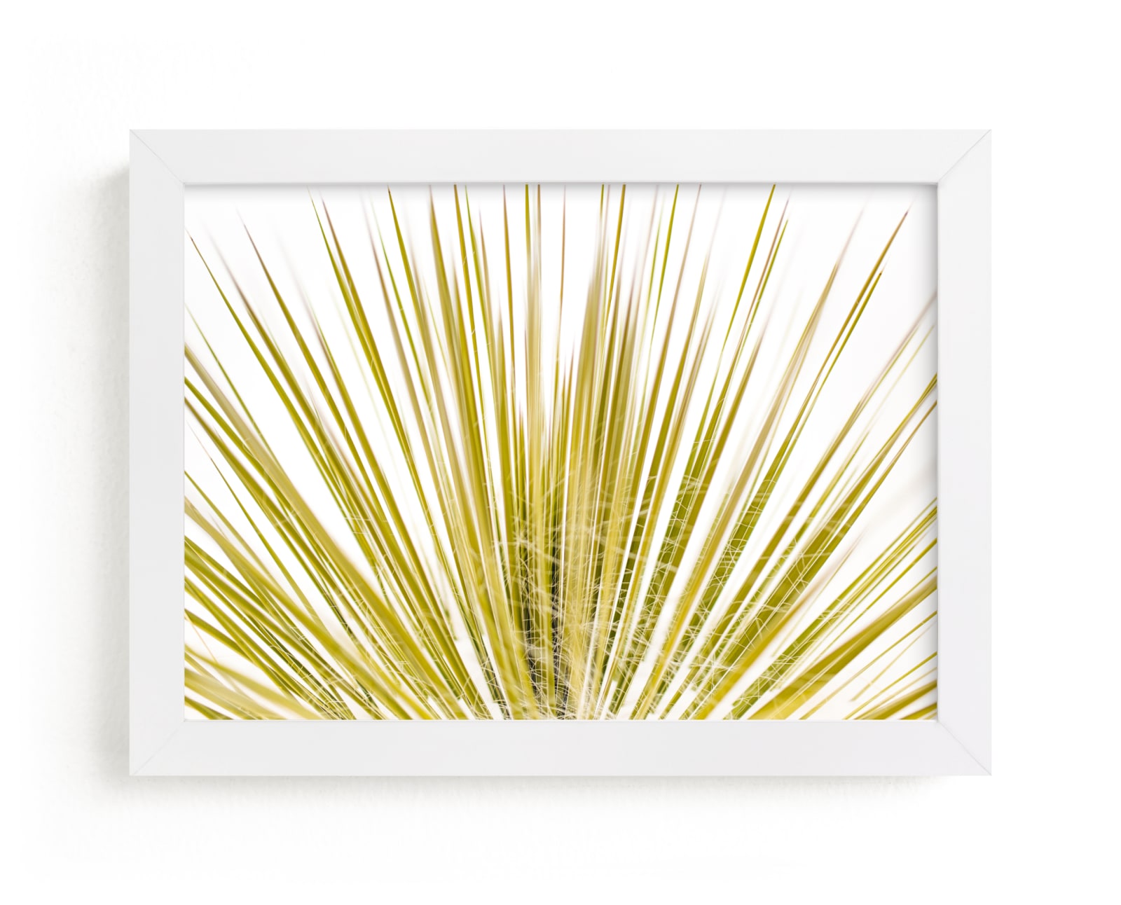 "Yucca Rays" by Mike Sunu in beautiful frame options and a variety of sizes.