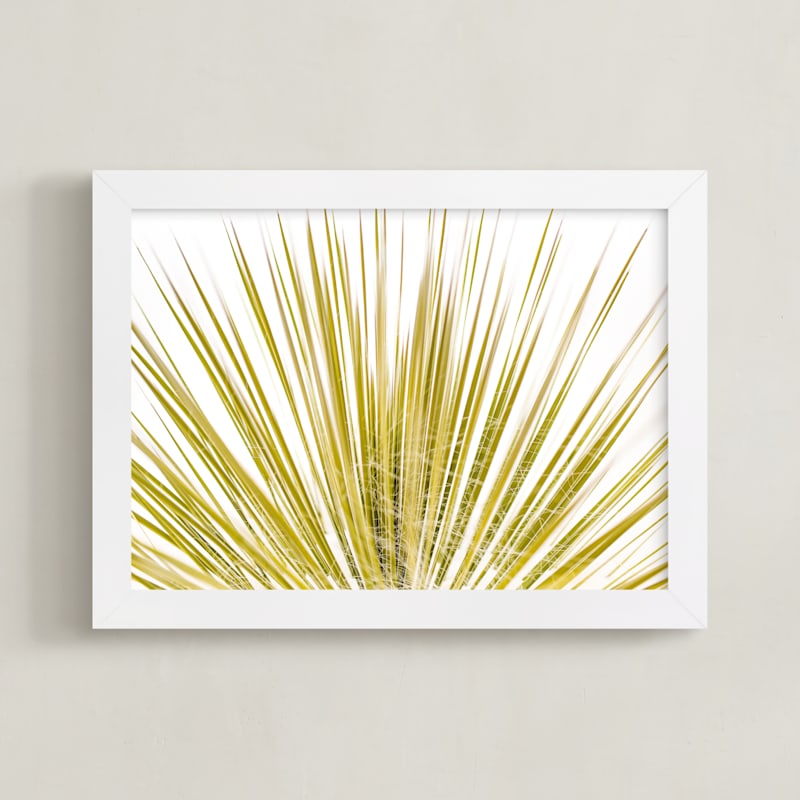 "Yucca Rays" by Mike Sunu in beautiful frame options and a variety of sizes.