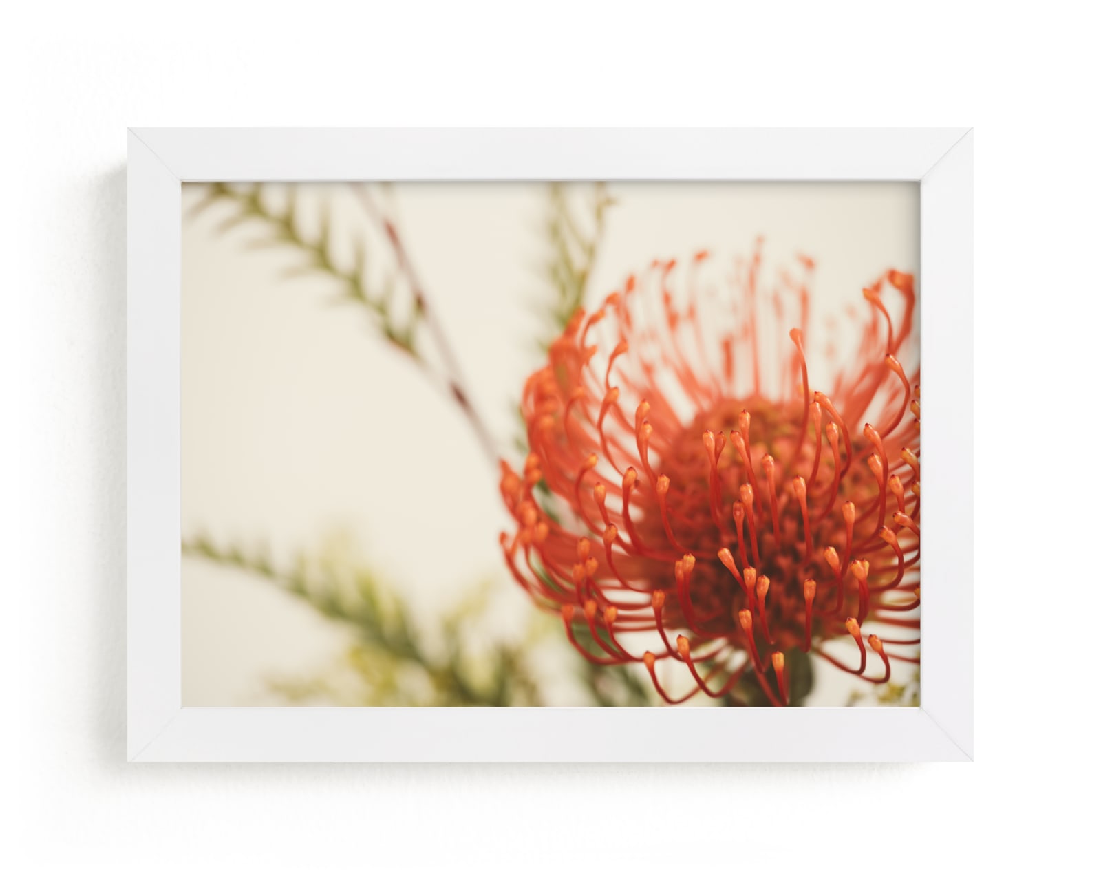"Protea 4" by Kamala Nahas in beautiful frame options and a variety of sizes.