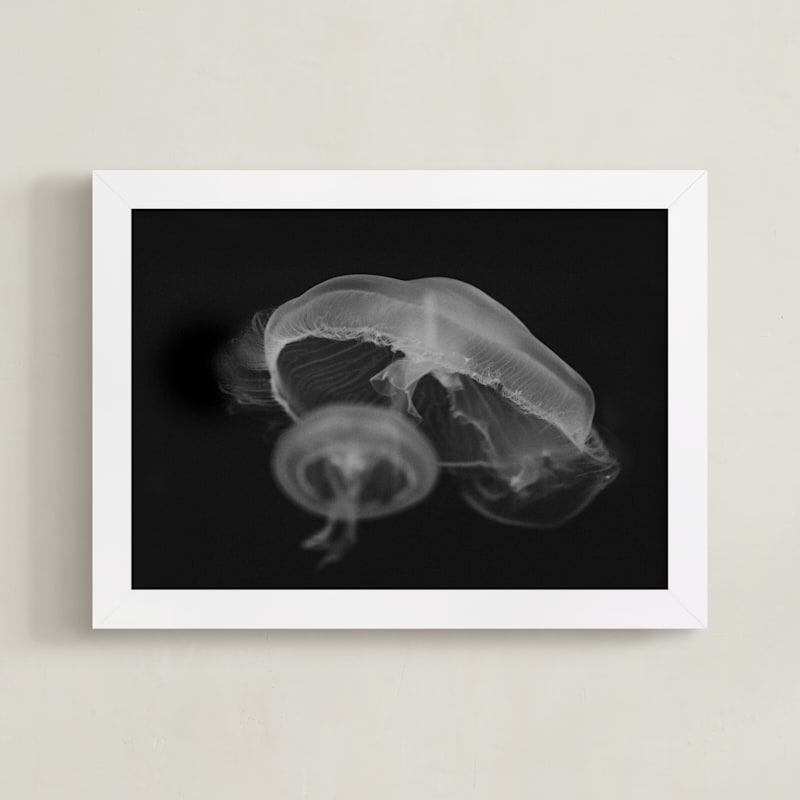 "Graceful Jelly" by Hollie Renner Photography in beautiful frame options and a variety of sizes.