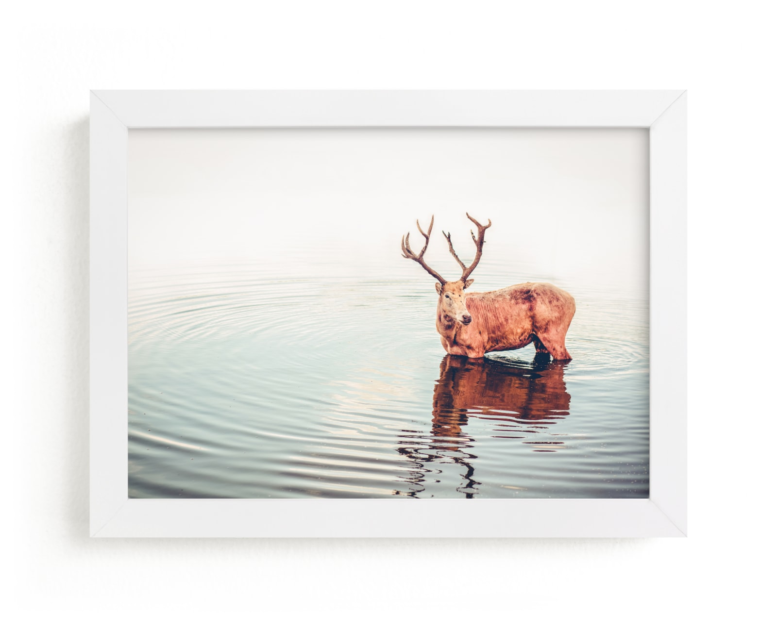 "Deer" by Lying on the grass in beautiful frame options and a variety of sizes.