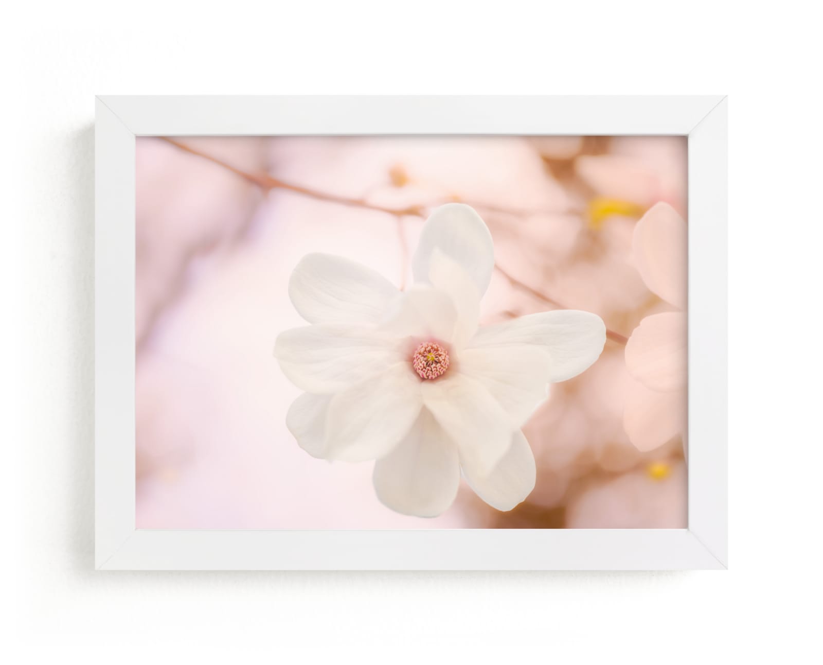 "Magnolia in White" by Kate Dailey in beautiful frame options and a variety of sizes.