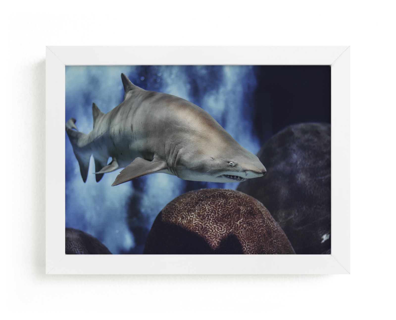 "Night Watch" by Hollie Renner Photography in beautiful frame options and a variety of sizes.