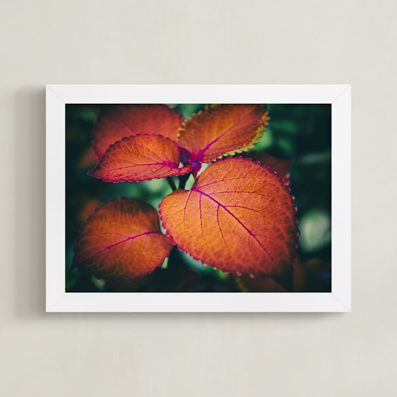 Orange Leaves