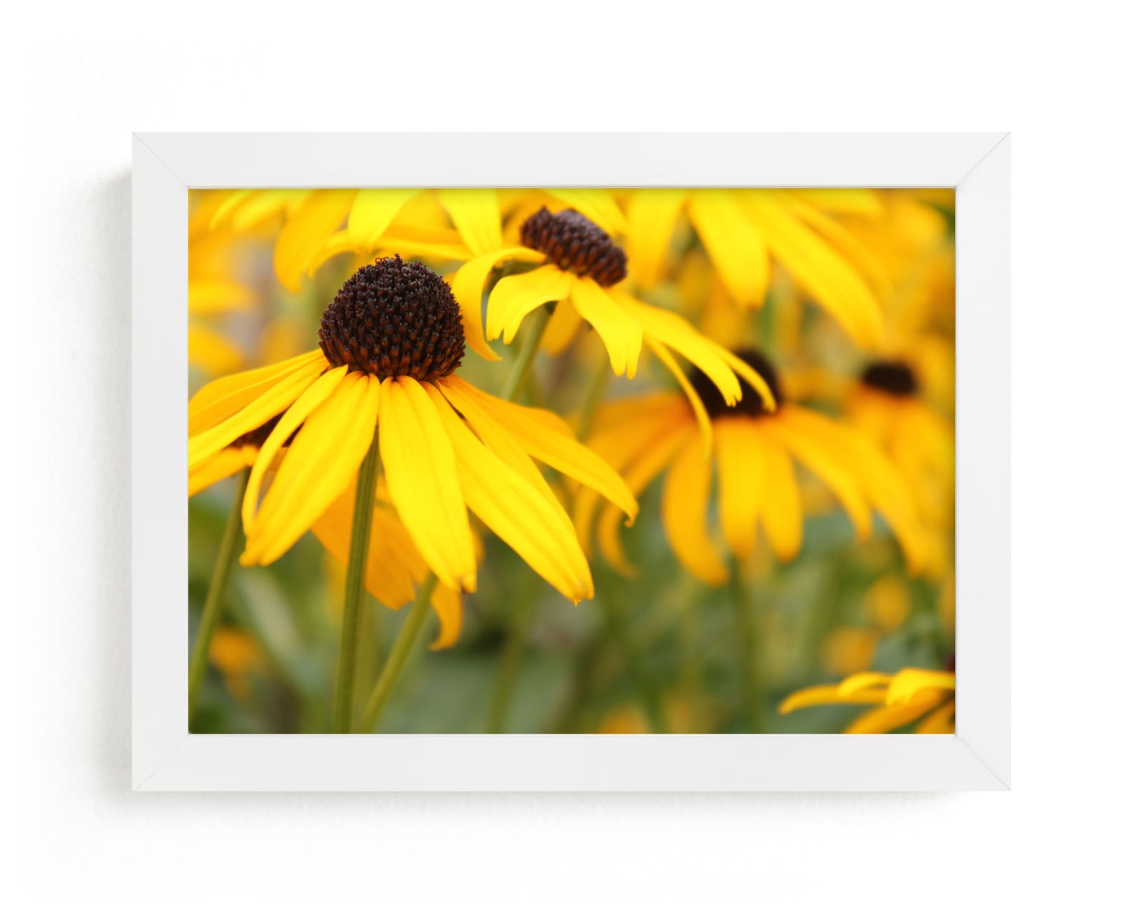 "Happy Sunflowers" by Karen Kaul in beautiful frame options and a variety of sizes.