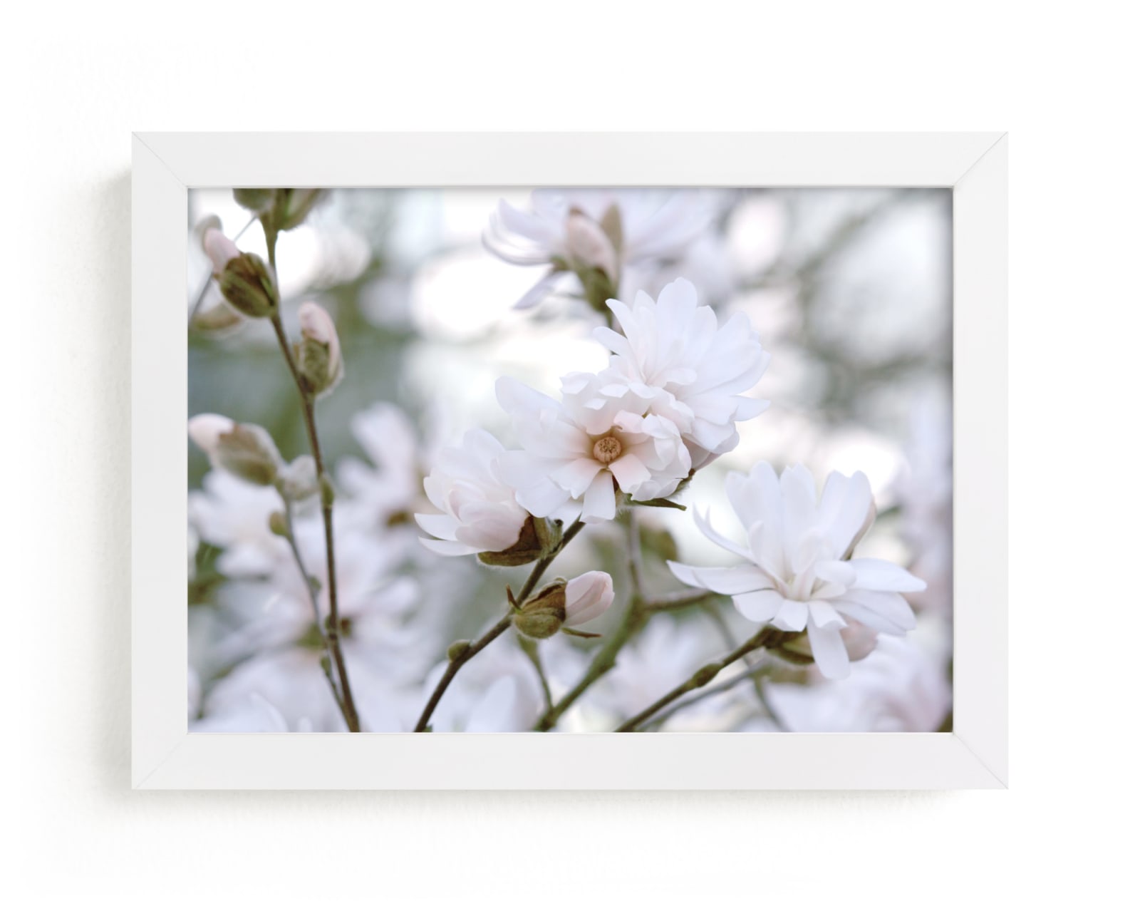 "Magnolia Bloom" by Jayna B in beautiful frame options and a variety of sizes.