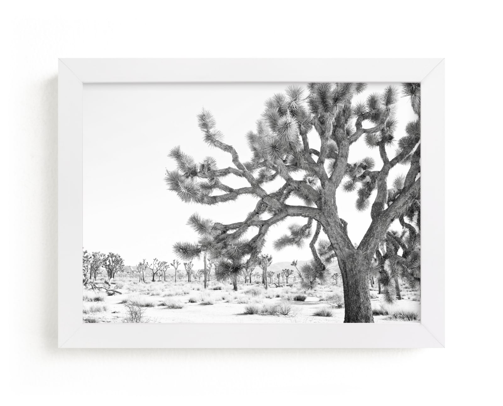 "Joshua Tree Times" by Bree Madden in beautiful frame options and a variety of sizes.