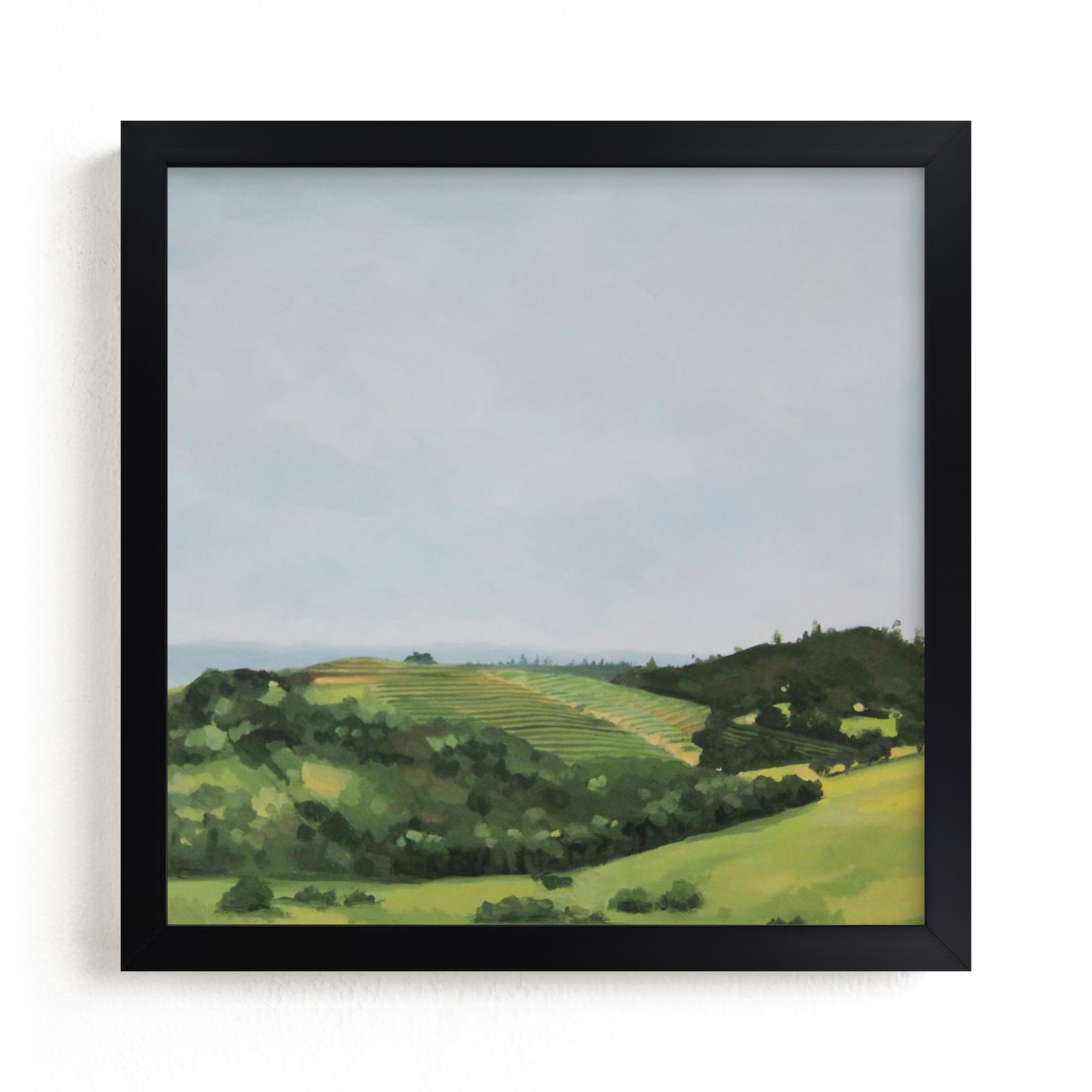 "Rolling Vines" - Limited Edition Art Print by Amanda Phelps in beautiful frame options and a variety of sizes.
