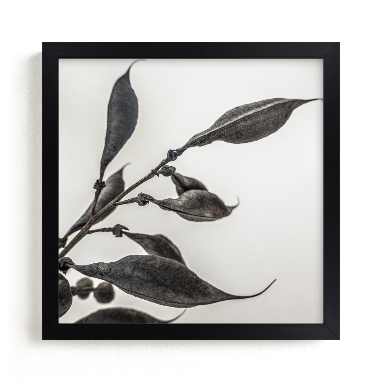 "Organic Pod" - Limited Edition Art Print by Pamela Viola in beautiful frame options and a variety of sizes.