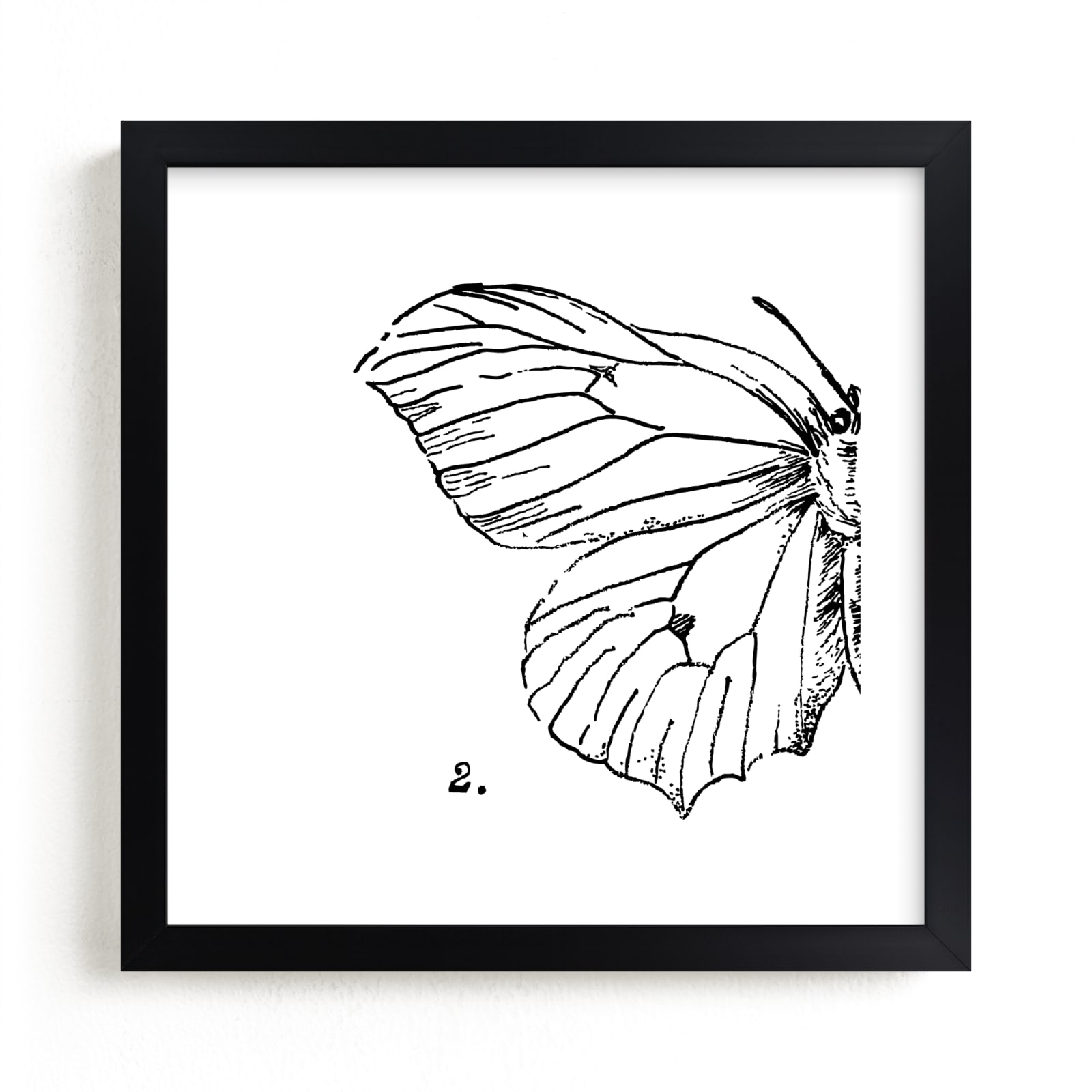 "Moth No. 2" - Limited Edition Art Print by Mere Paper in beautiful frame options and a variety of sizes.
