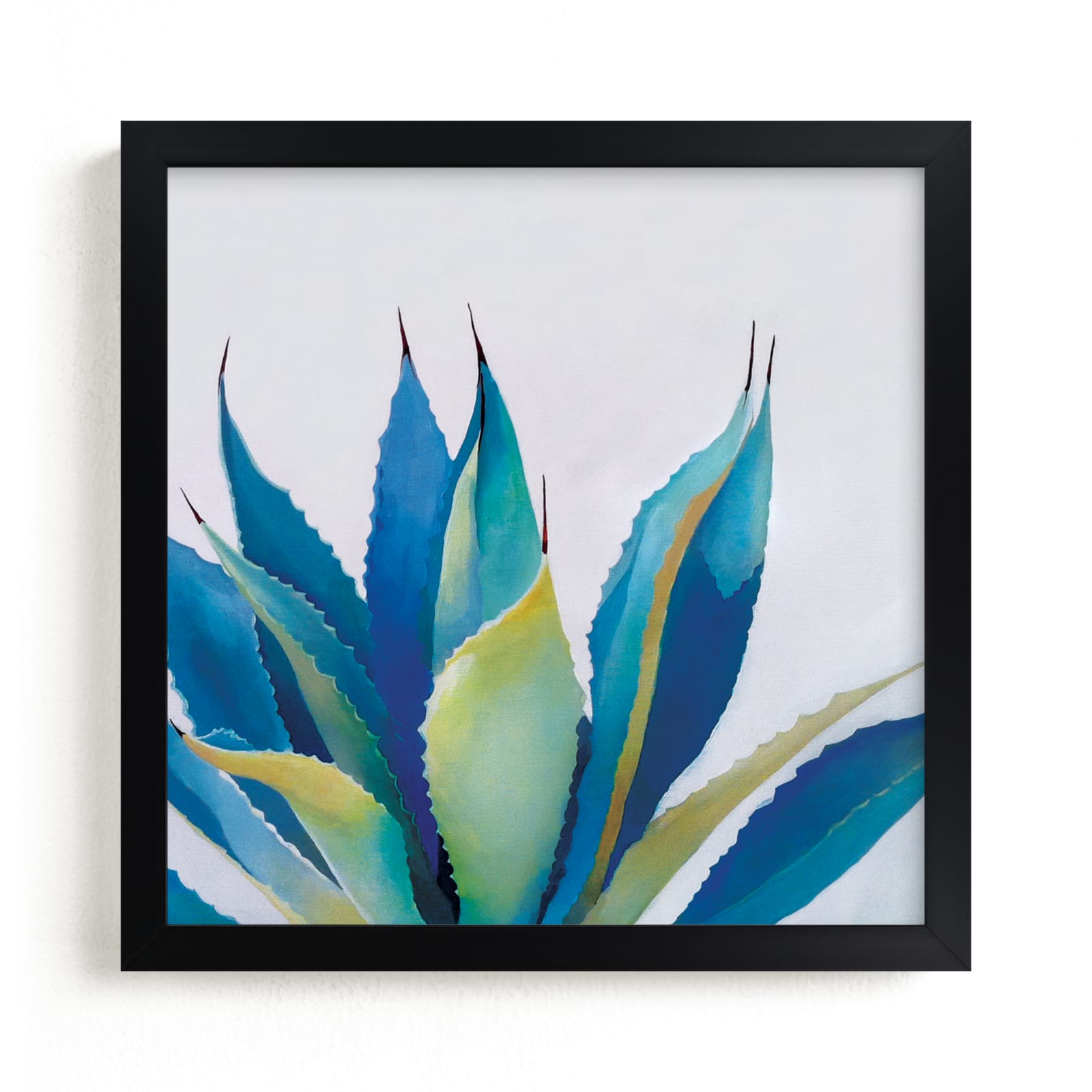 "Blue Agave" - Open Edition Fine Art Print by Amanda Phelps in beautiful frame options and a variety of sizes.