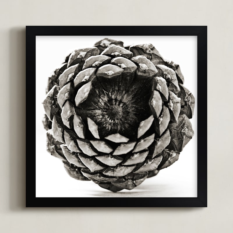 Pine Cone Square 