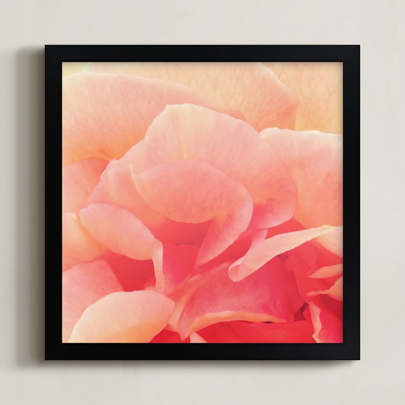 "sherbet rose 3" - Art Print in peach rose by Niki Digrigorio - Framed