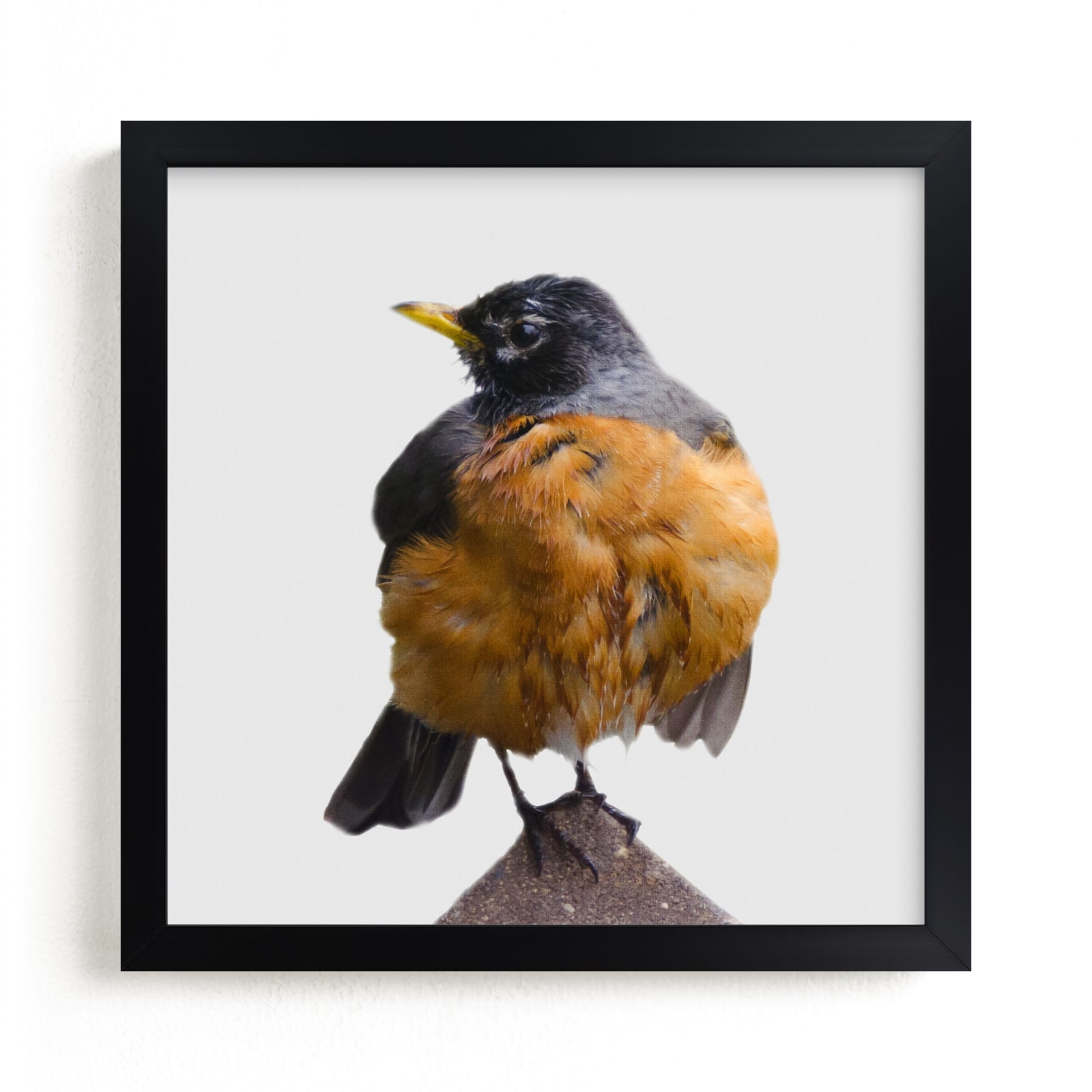 "Wet Bird" - Art Print by Johanna Phillips Huuva in beautiful frame options and a variety of sizes.