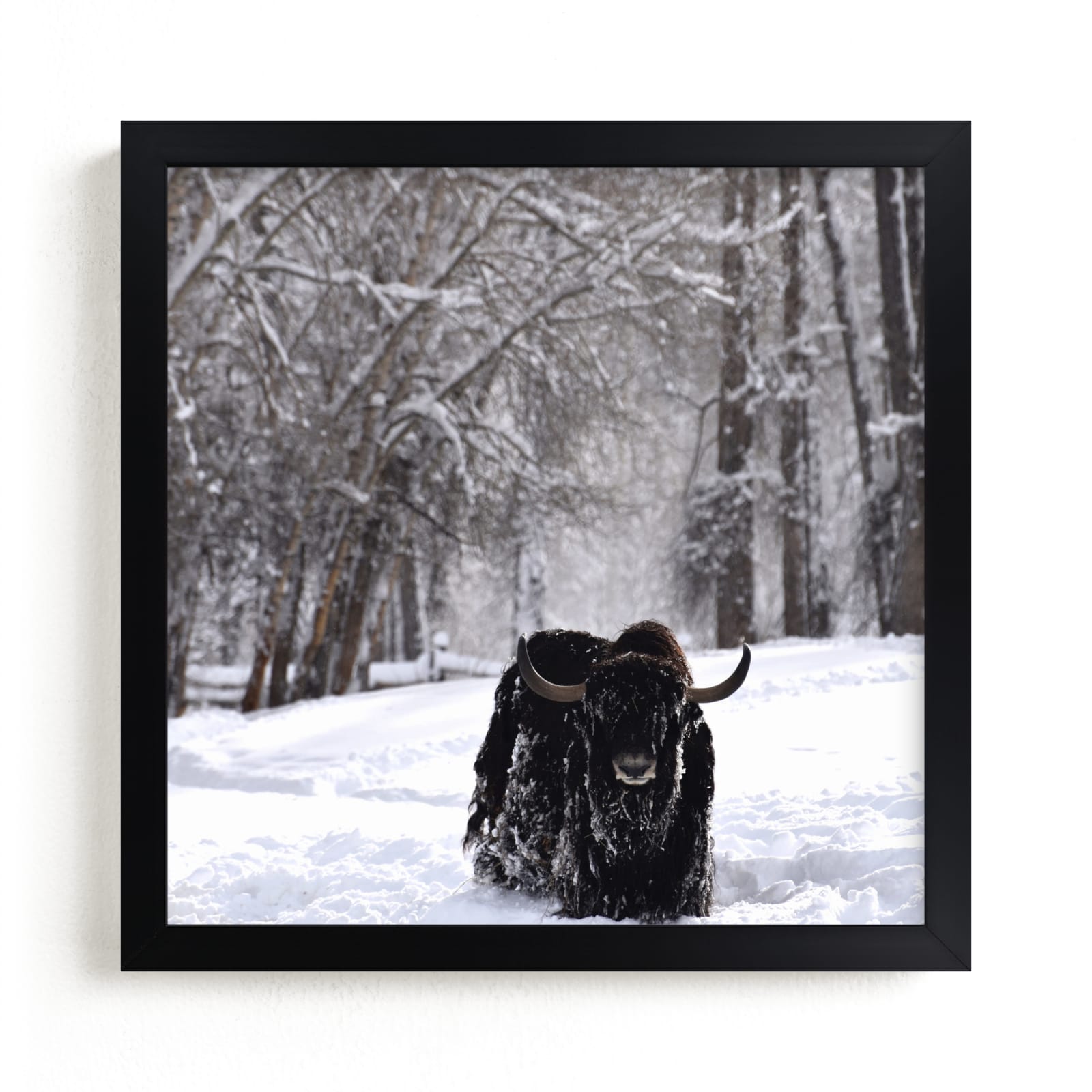 "Winter's Spirit" - Art Print by Leslie Le Coq in beautiful frame options and a variety of sizes.