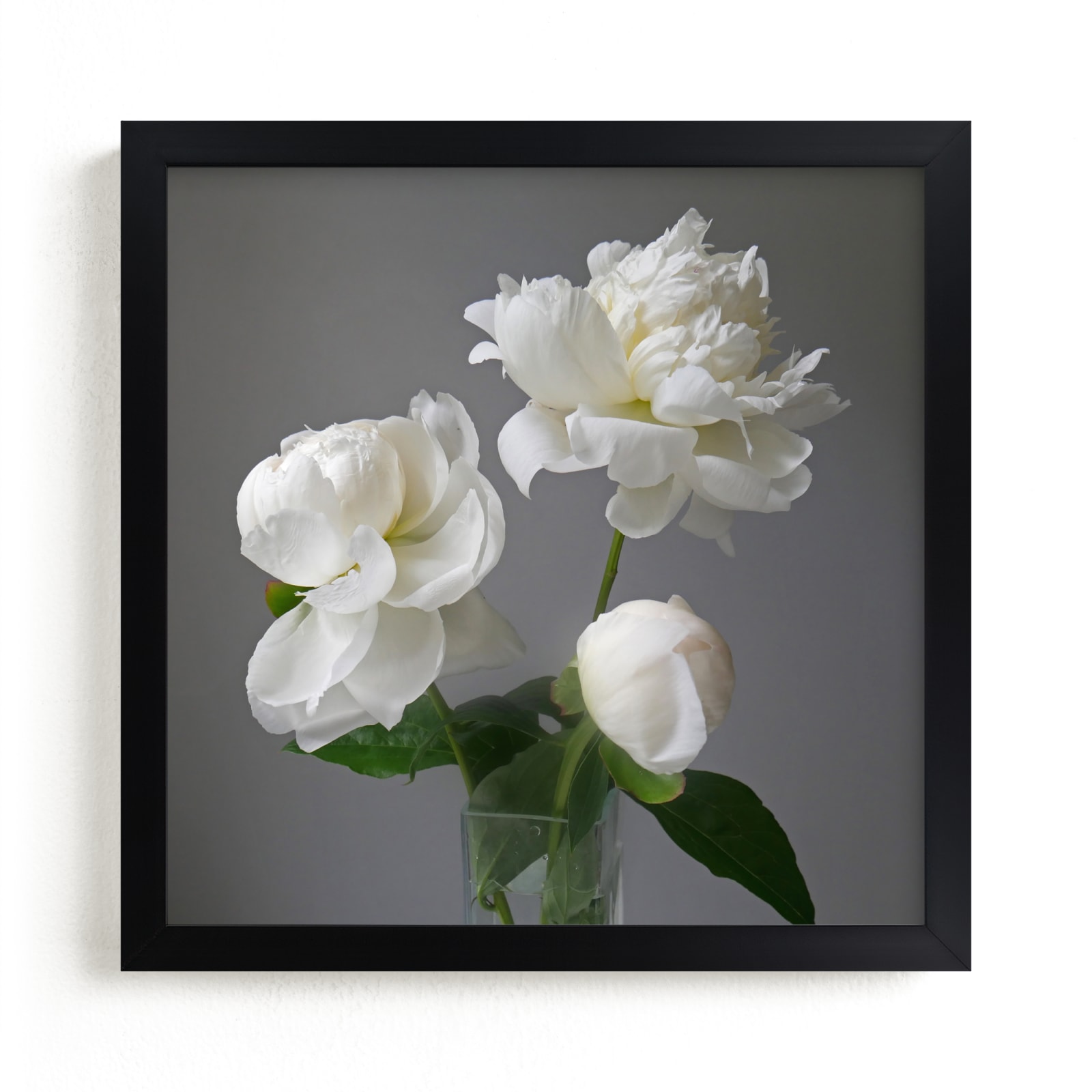 "three white peonies" by Elizabeth Pyle in beautiful frame options and a variety of sizes.