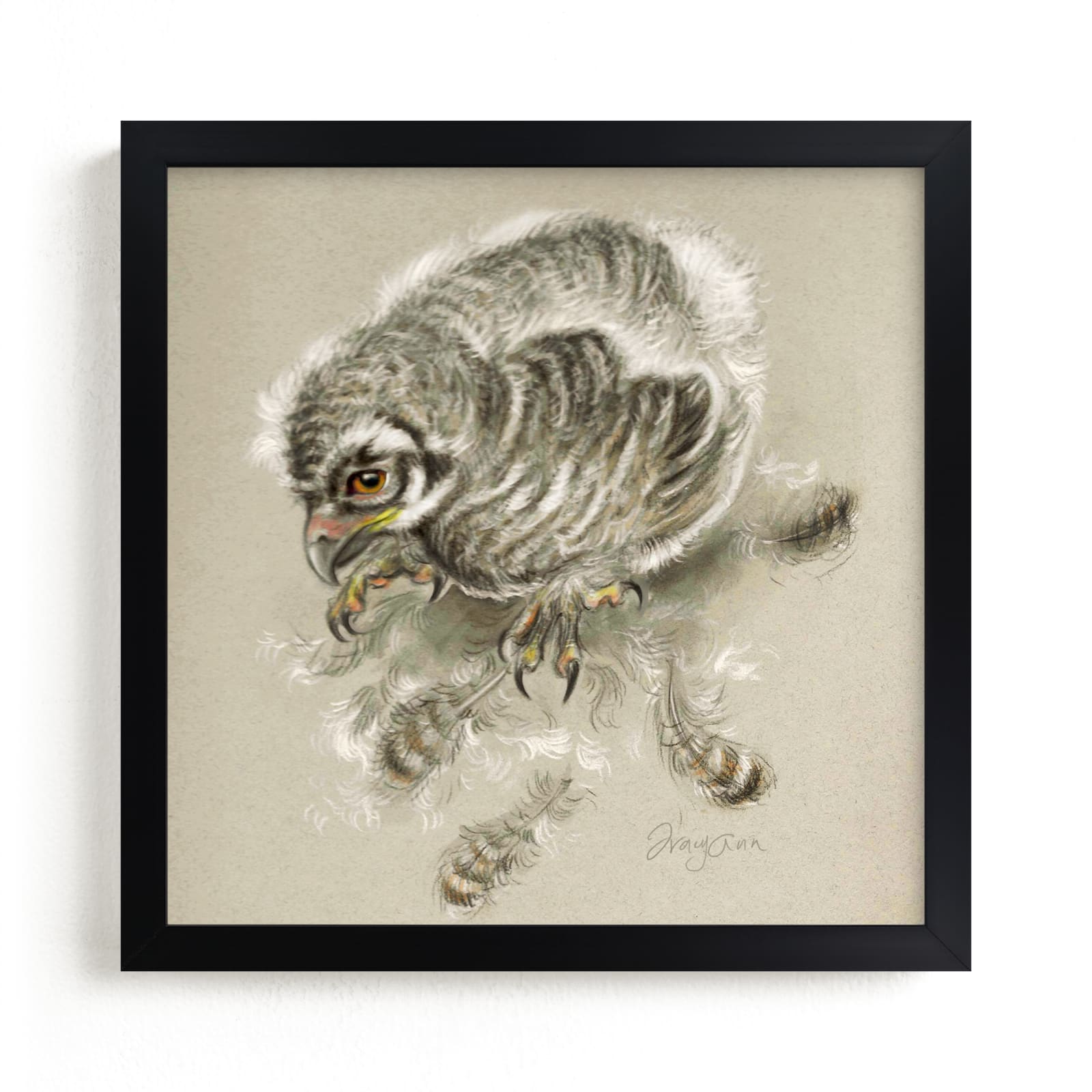 "Baby Owl Feathers" by Tracy Ann in beautiful frame options and a variety of sizes.