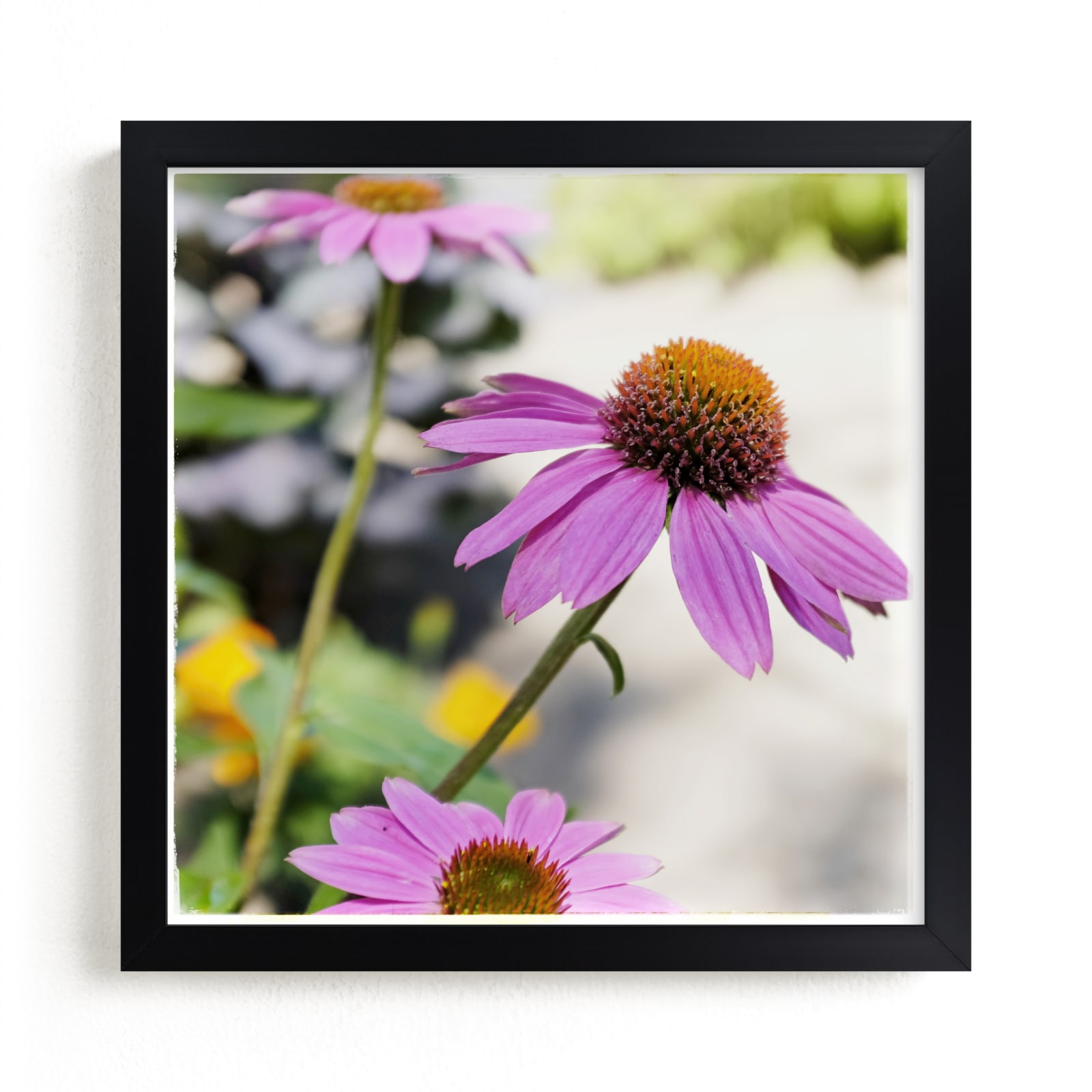 "Pink Daisies" by Alexis Arnold in beautiful frame options and a variety of sizes.