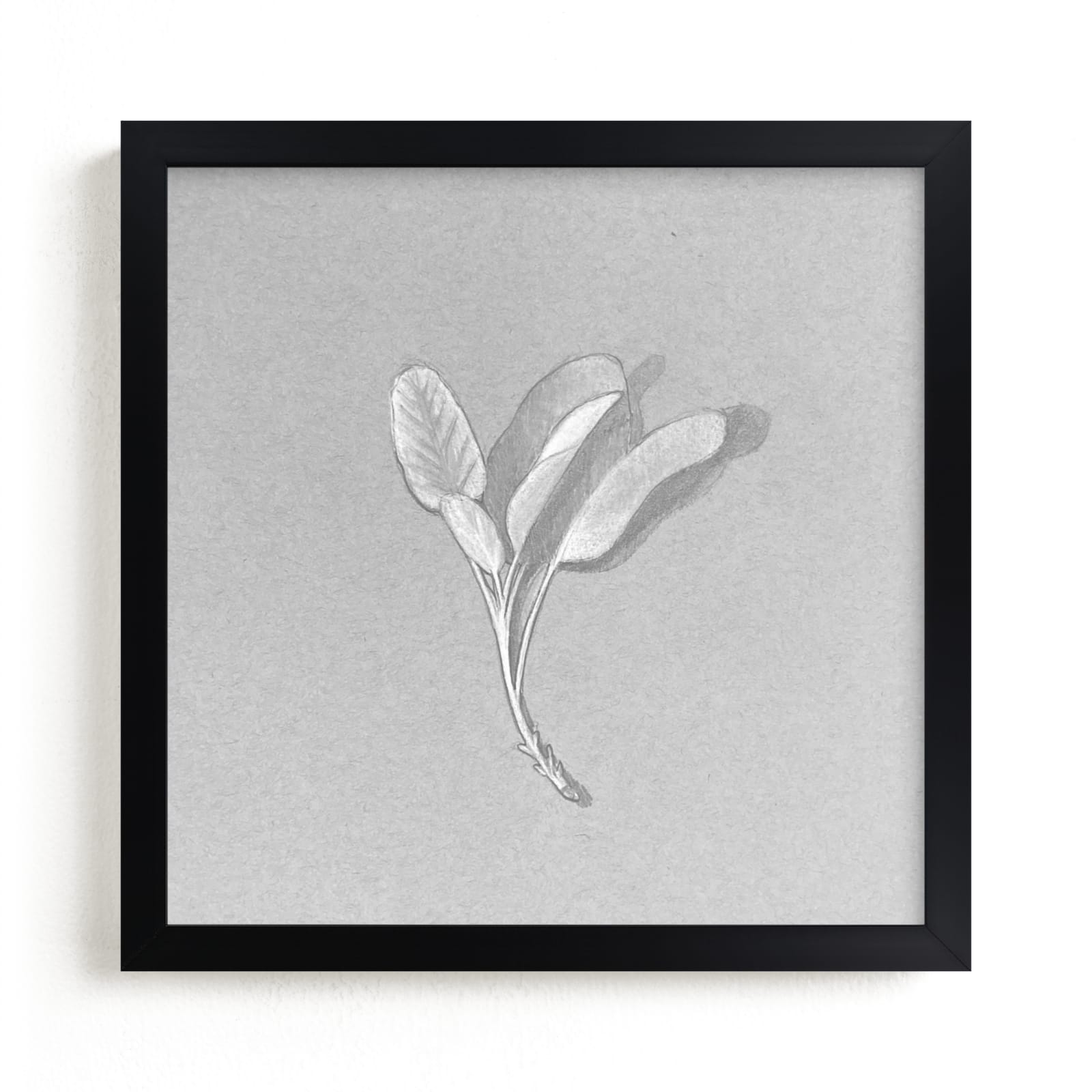 "Sage Sprig" by Meghan Lacey in beautiful frame options and a variety of sizes.