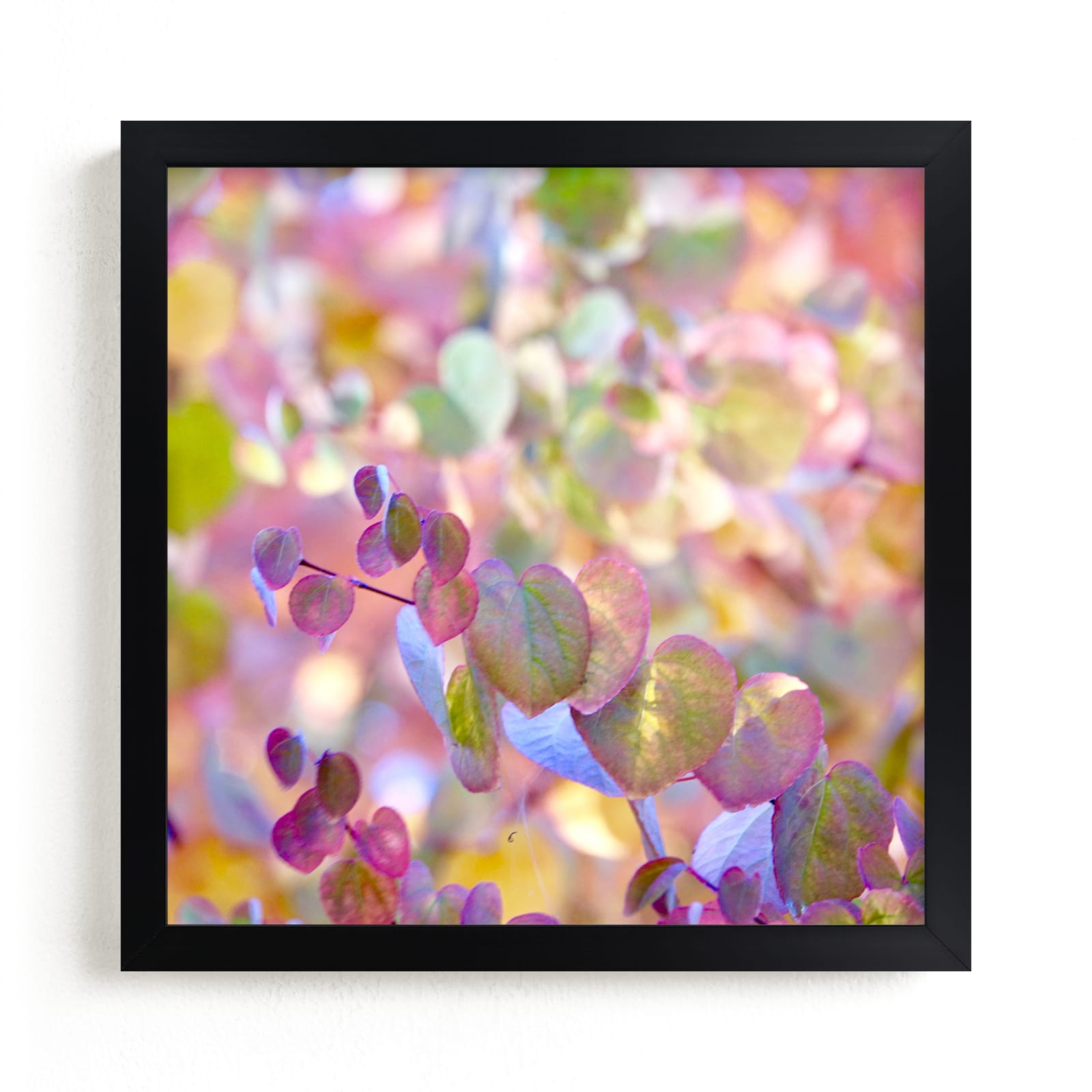 "Colorful Magic" by Jan Kessel in beautiful frame options and a variety of sizes.