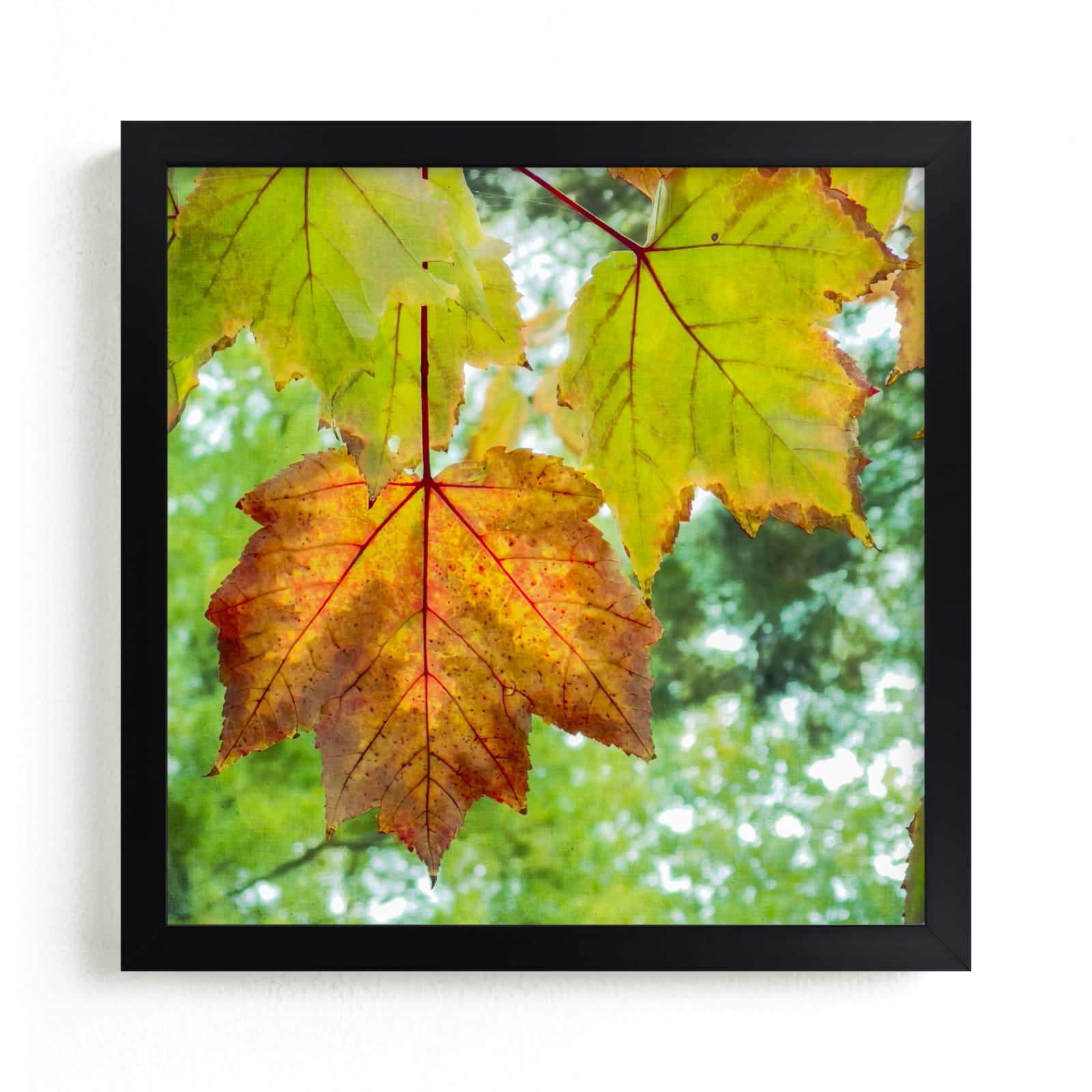 "Leaf Me Alone" by Andy Mars in beautiful frame options and a variety of sizes.