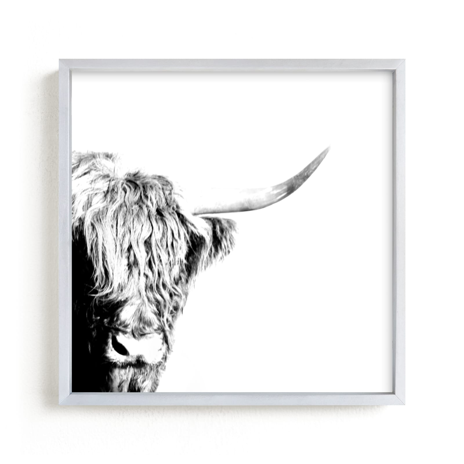 "Serious Steer" - Art Print by Jessie Steury in beautiful frame options and a variety of sizes.