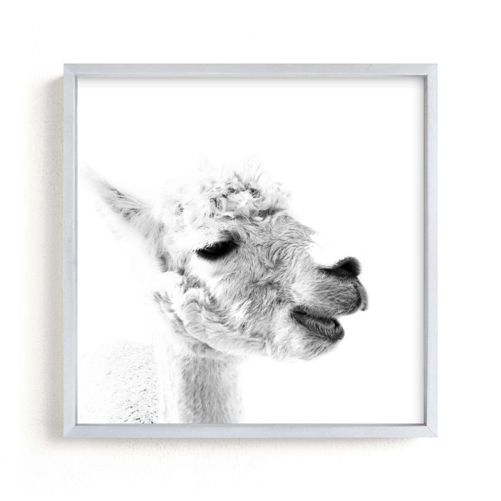 "Happy Alpaca" - Art Print by Jessie Steury in beautiful frame options and a variety of sizes.