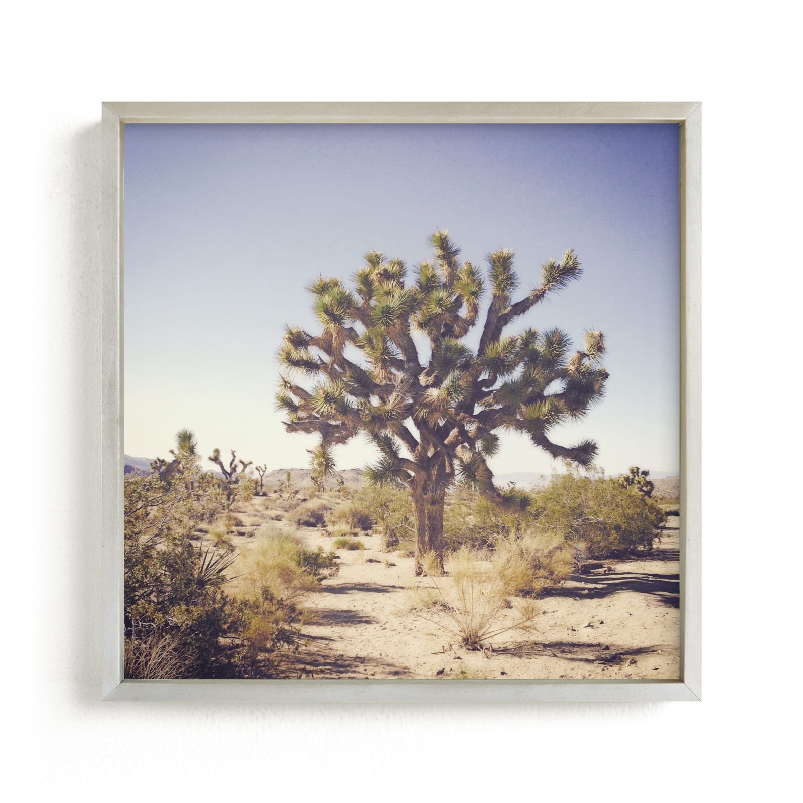 "Joshua Tree" - Limited Edition Art Print by Abby Laverick in beautiful frame options and a variety of sizes.