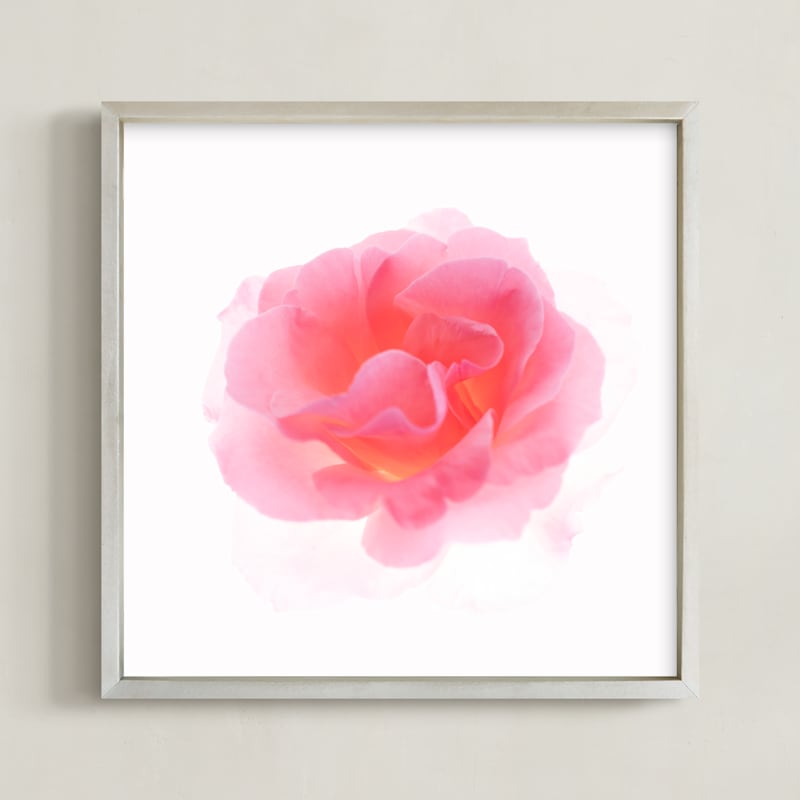 "Summer Rose" - Art Print in Summer Pink by IGGI - Framed