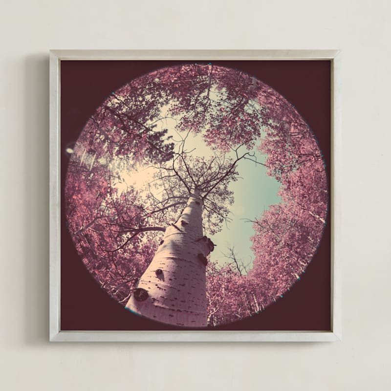 "Infrared Birch Forest" - Art Print in Infrared by Elena Kulikova - Framed