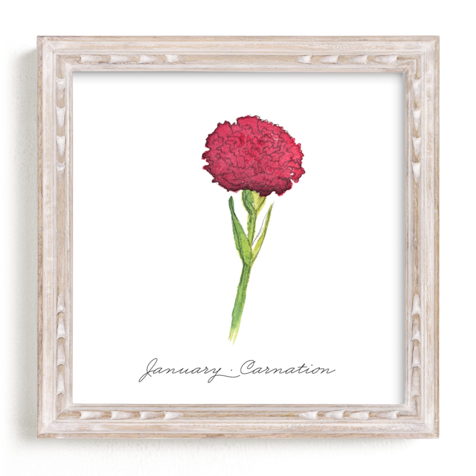 "January Carnation" - Art Print by Liz Conley in beautiful frame options and a variety of sizes.