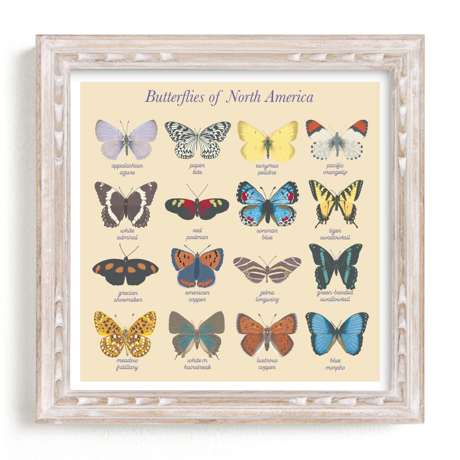 "Butterfly Guide" by Madeup Word in beautiful frame options and a variety of sizes.