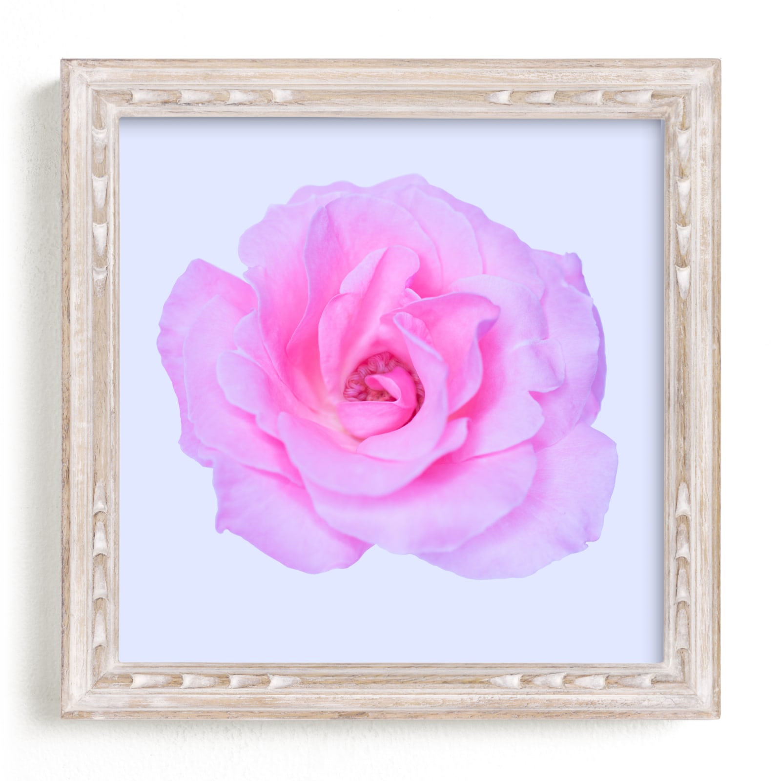 "Preppy Pink Rose" by Madeup Word in beautiful frame options and a variety of sizes.