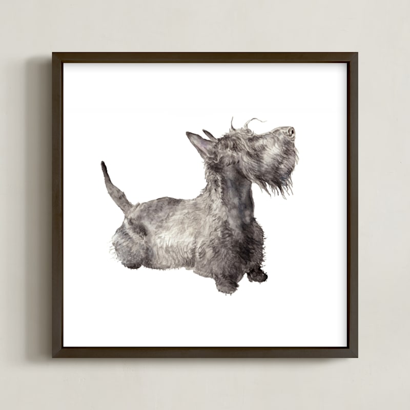 Scottie