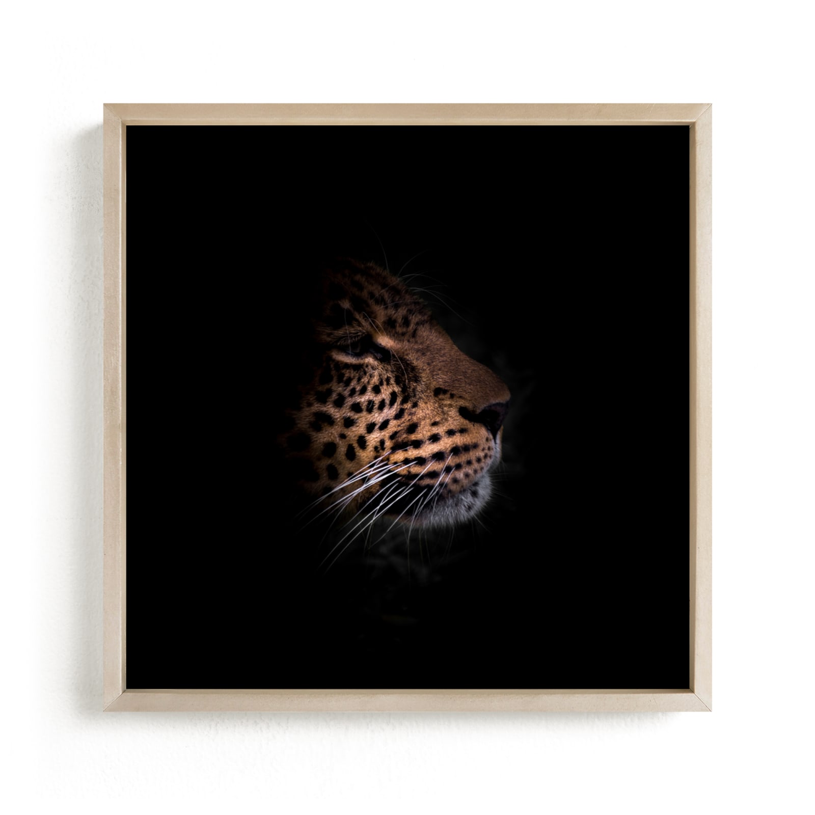 "Siri The Leopard" by David Michuki in beautiful frame options and a variety of sizes.