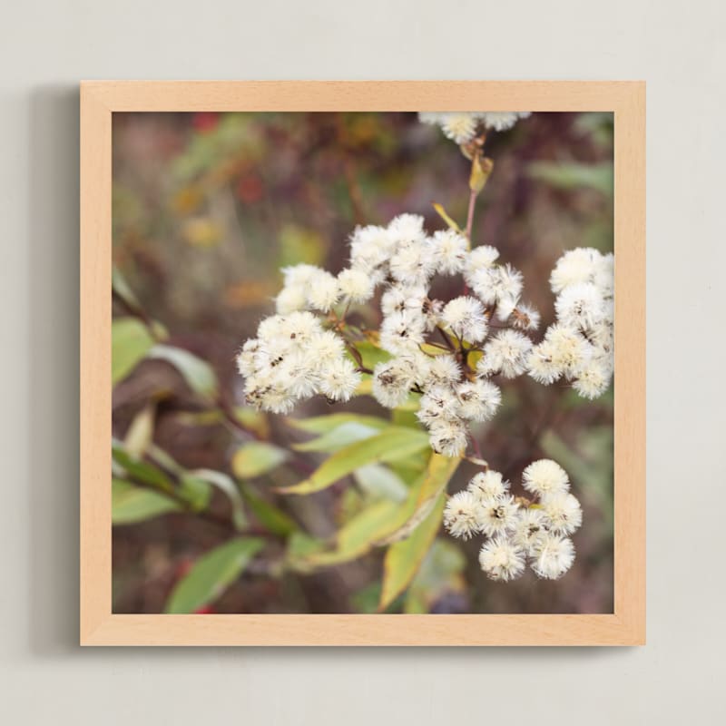 Fuzzy Wildflowers
