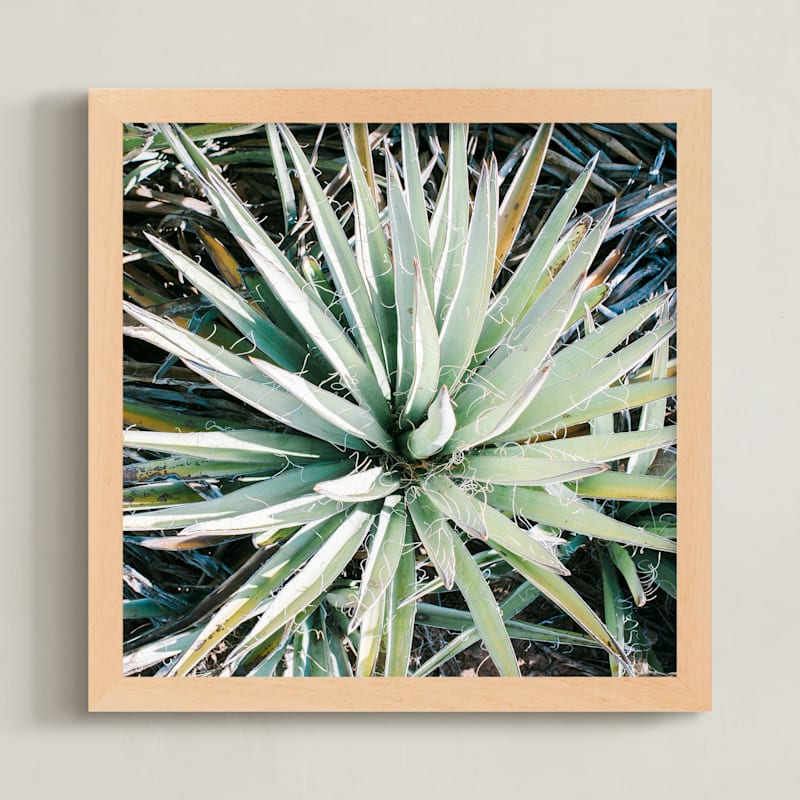 Desert Fauna