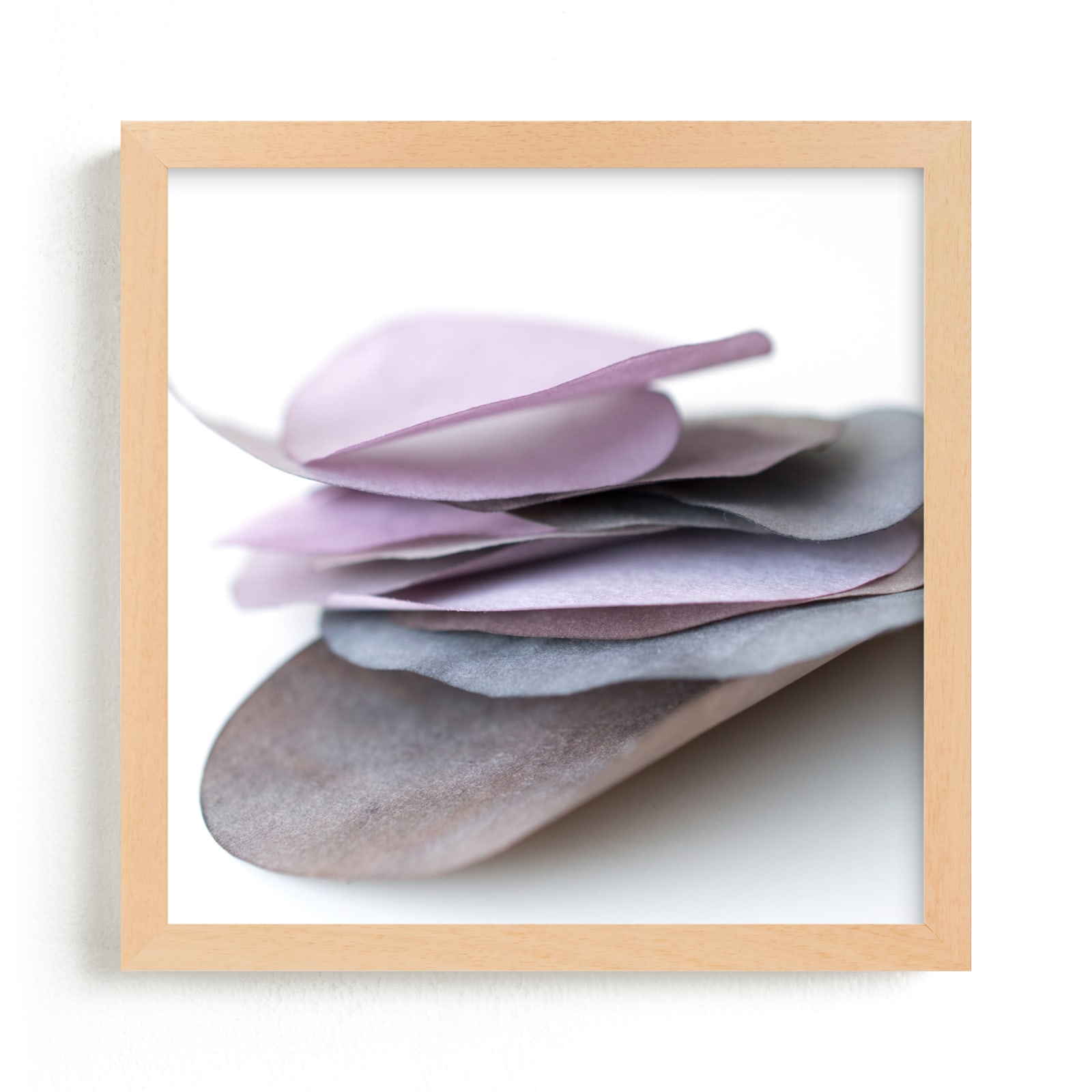 "Paper Petal 26" by Jenny Phillips in beautiful frame options and a variety of sizes.