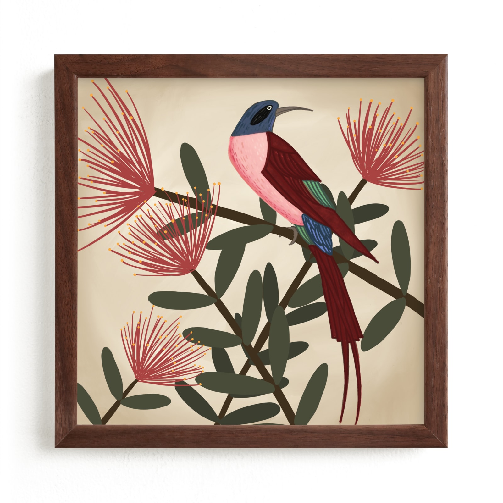 "Bee Eater" - Limited Edition Art Print by Jessie Burch in beautiful frame options and a variety of sizes.
