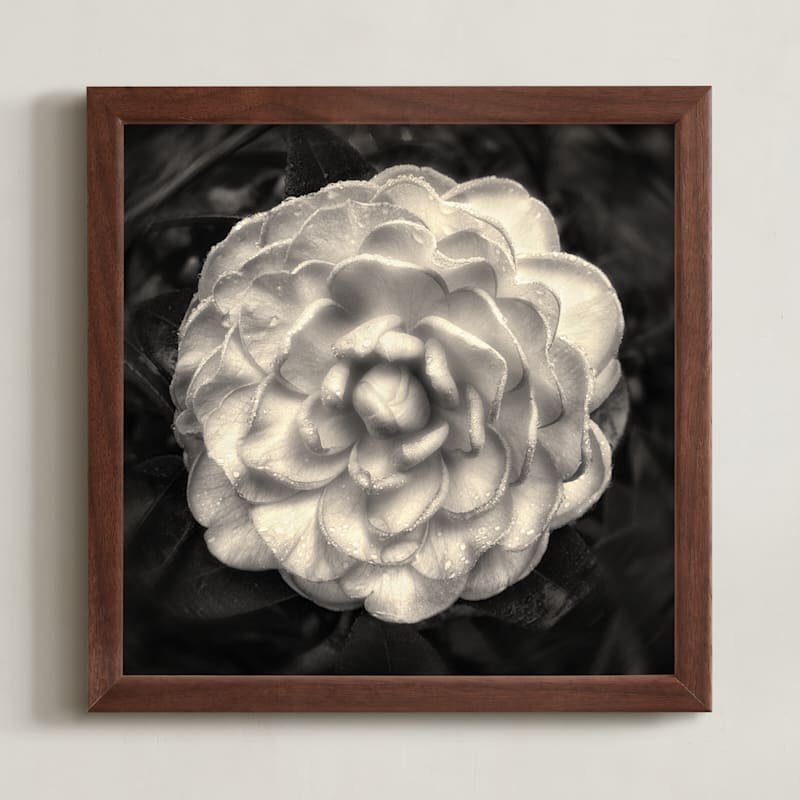 Camelia Mandala by Julia Preminger