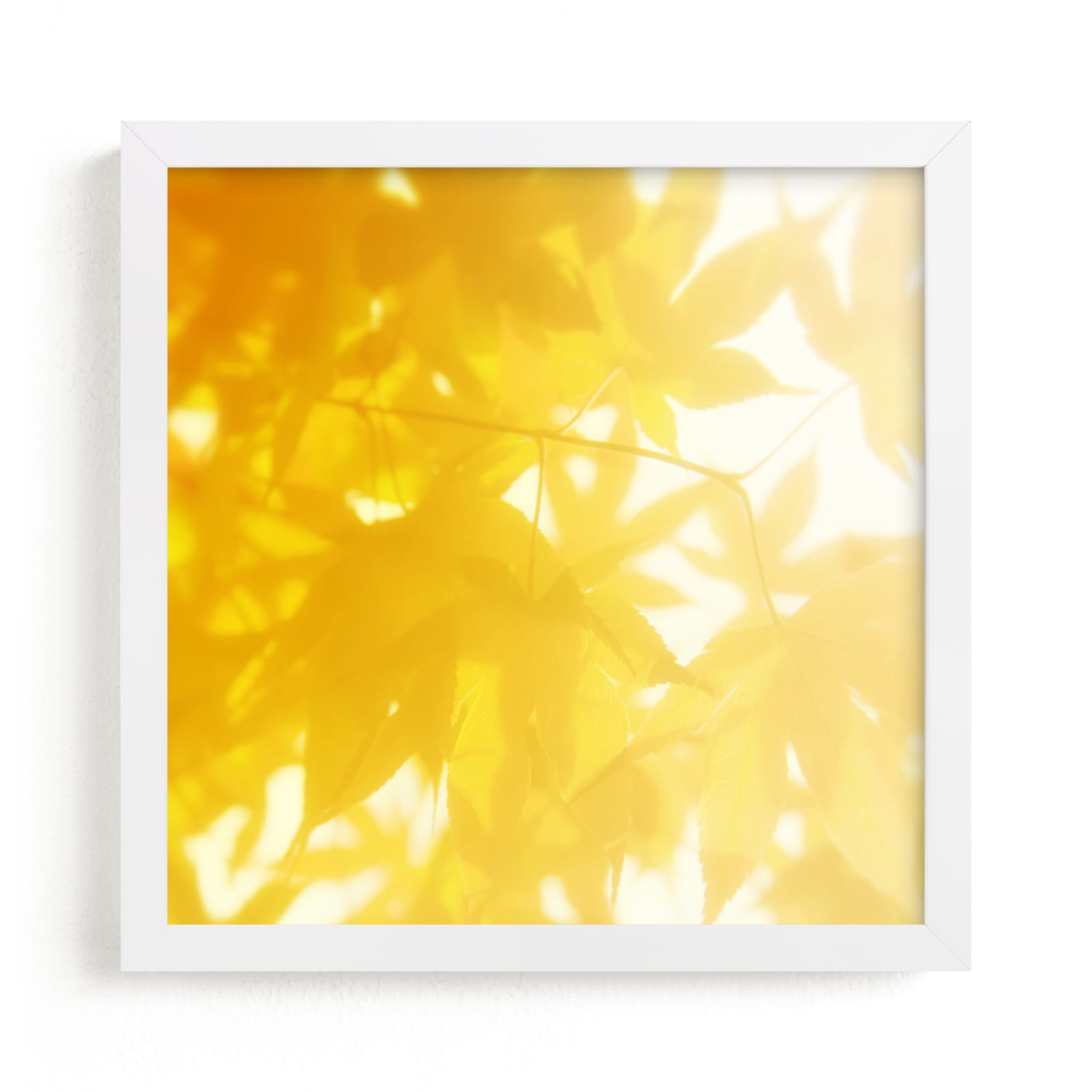 "sun bathing leaves" - Limited Edition Art Print by Amy Chapman Braun in beautiful frame options and a variety of sizes.