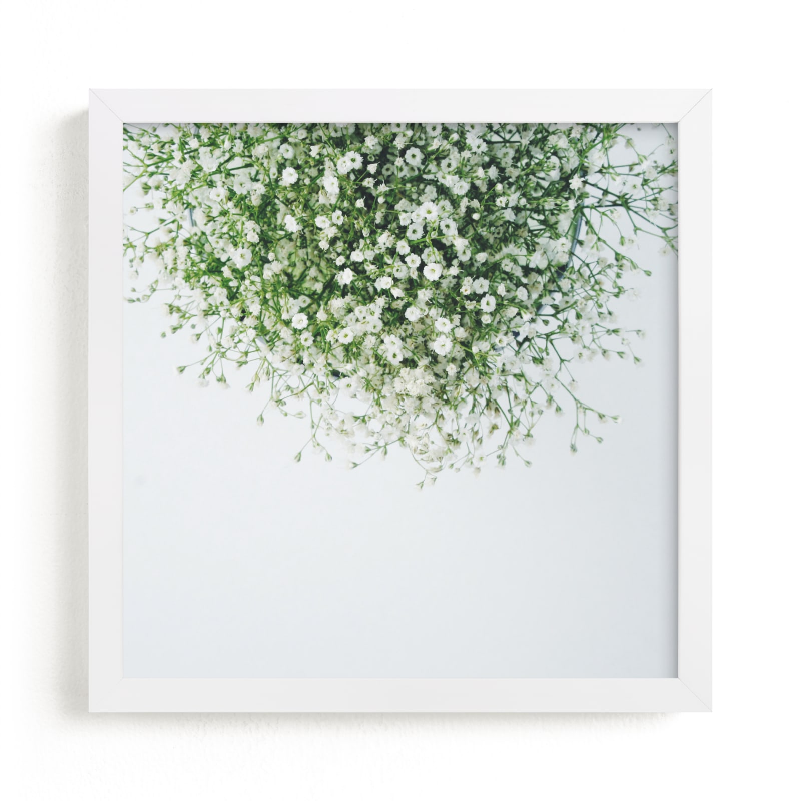 "Gypsophila" - Limited Edition Art Print by Marabou Design in beautiful frame options and a variety of sizes.