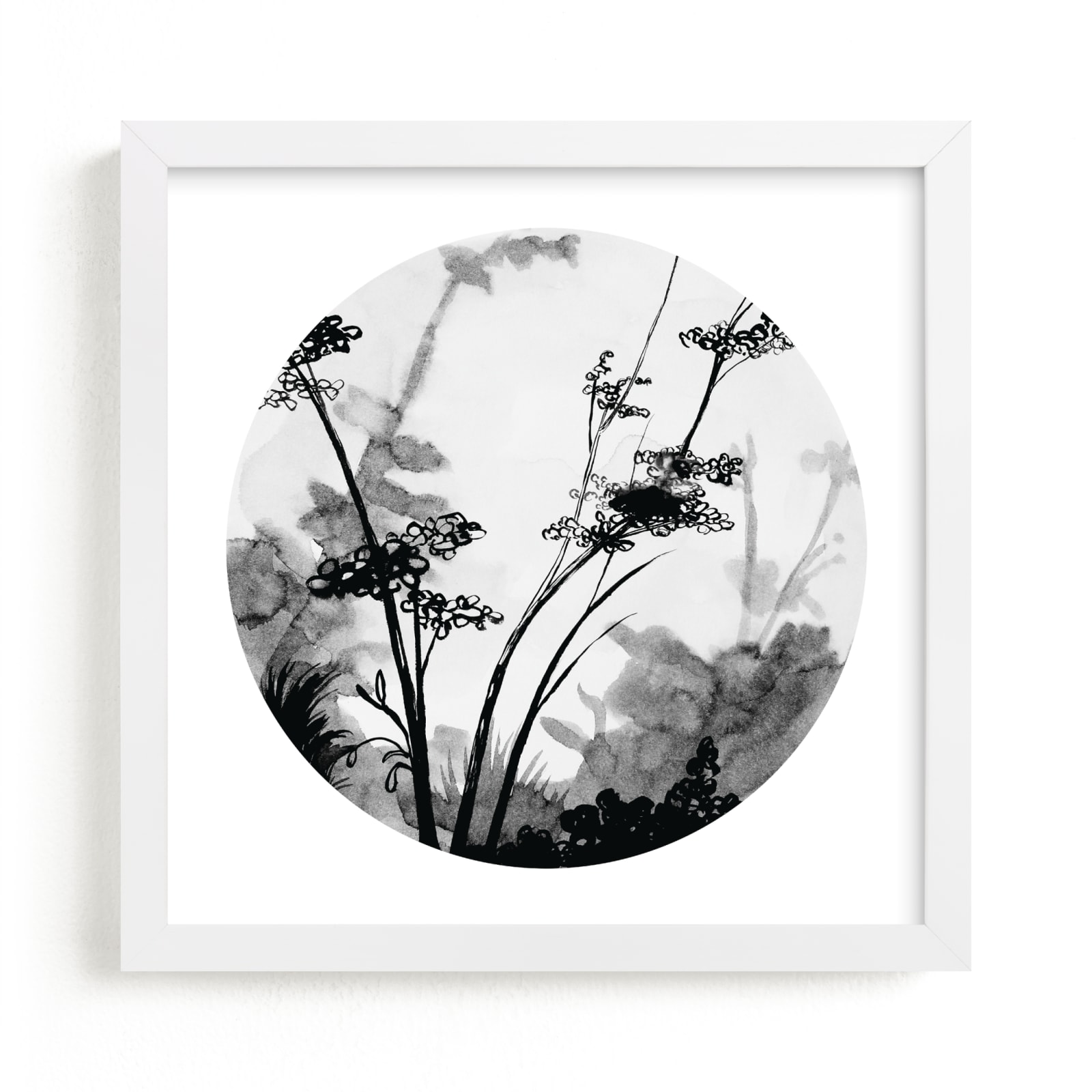 "Queen Anne's Lace" - Limited Edition Art Print by Lauren Matsumoto in beautiful frame options and a variety of sizes.