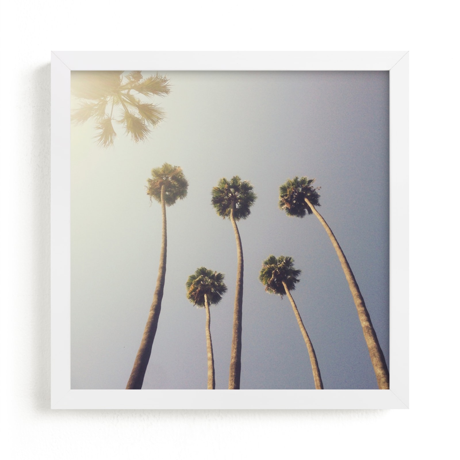 "Sunny Palm Trees" - Grownup Open Edition Non-custom Art Print by Five Sparrows in beautiful frame options and a variety of sizes.