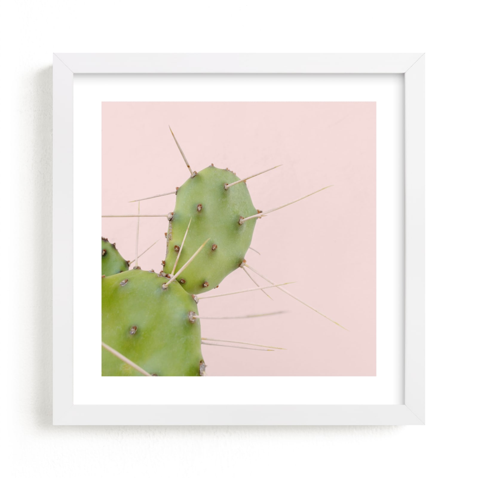 "Succulent No1" - Limited Edition Art Print by Jessica C Nugent in beautiful frame options and a variety of sizes.