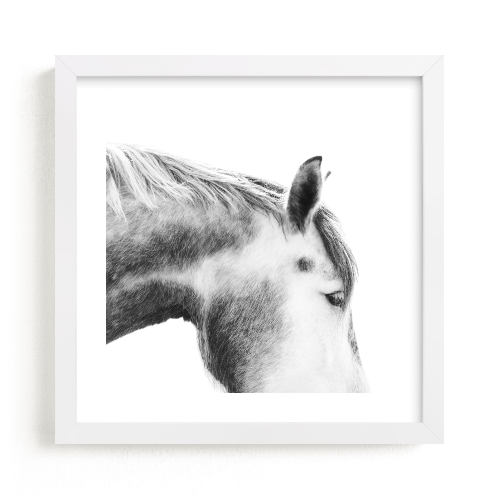 "Grey Horse" - Limited Edition Art Print by Jessica C Nugent in beautiful frame options and a variety of sizes.