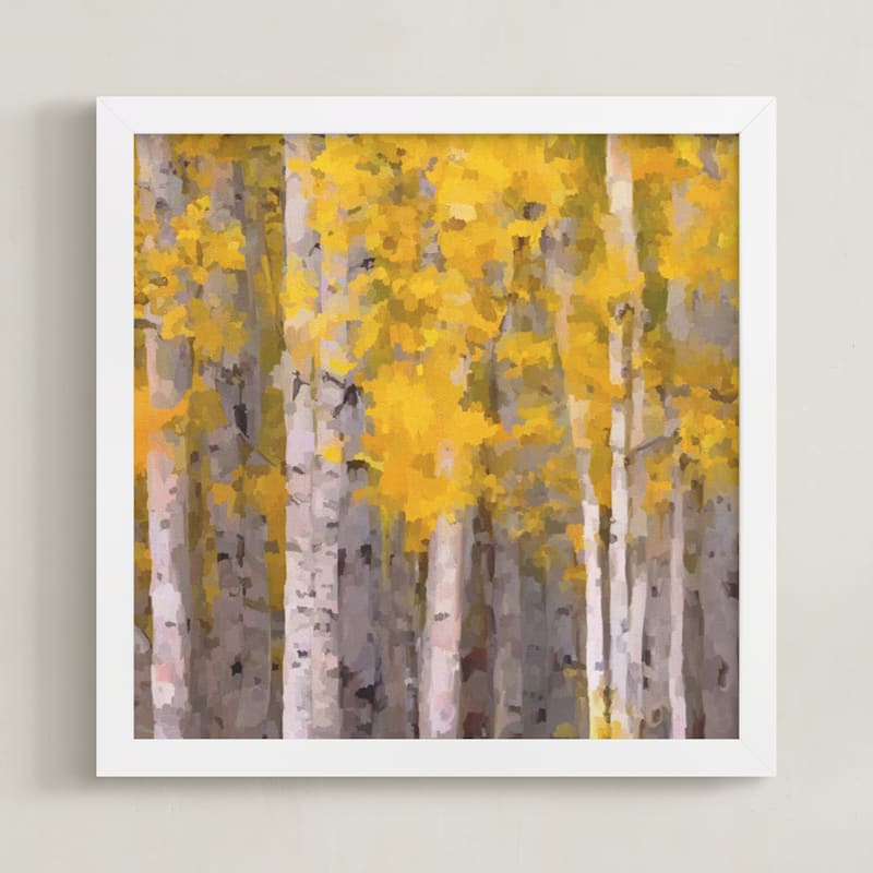 Fall Birches
