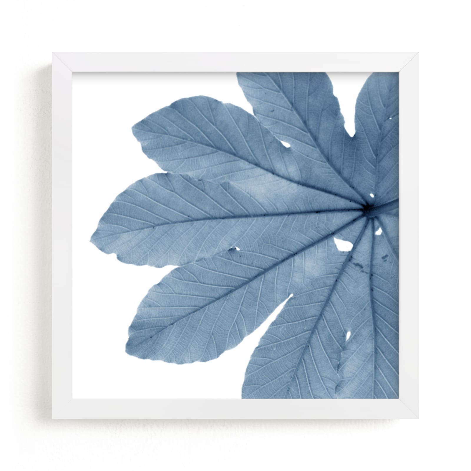 "Leaf in Blue" - Art Print by Jonathan Brooks in beautiful frame options and a variety of sizes.